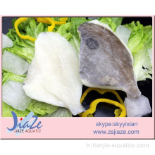 Dondurulmuş Balık John Dory filetosu